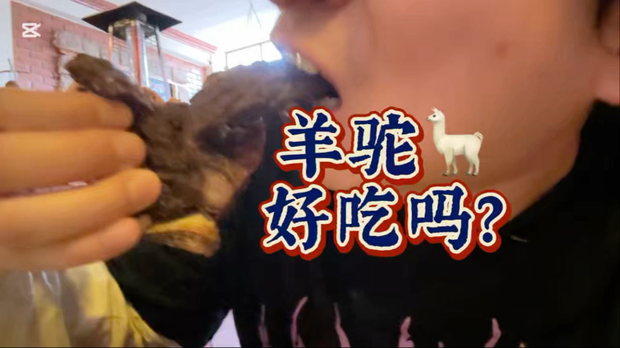 羊驼肉真的好吃吗？就是那个艹尼玛肉