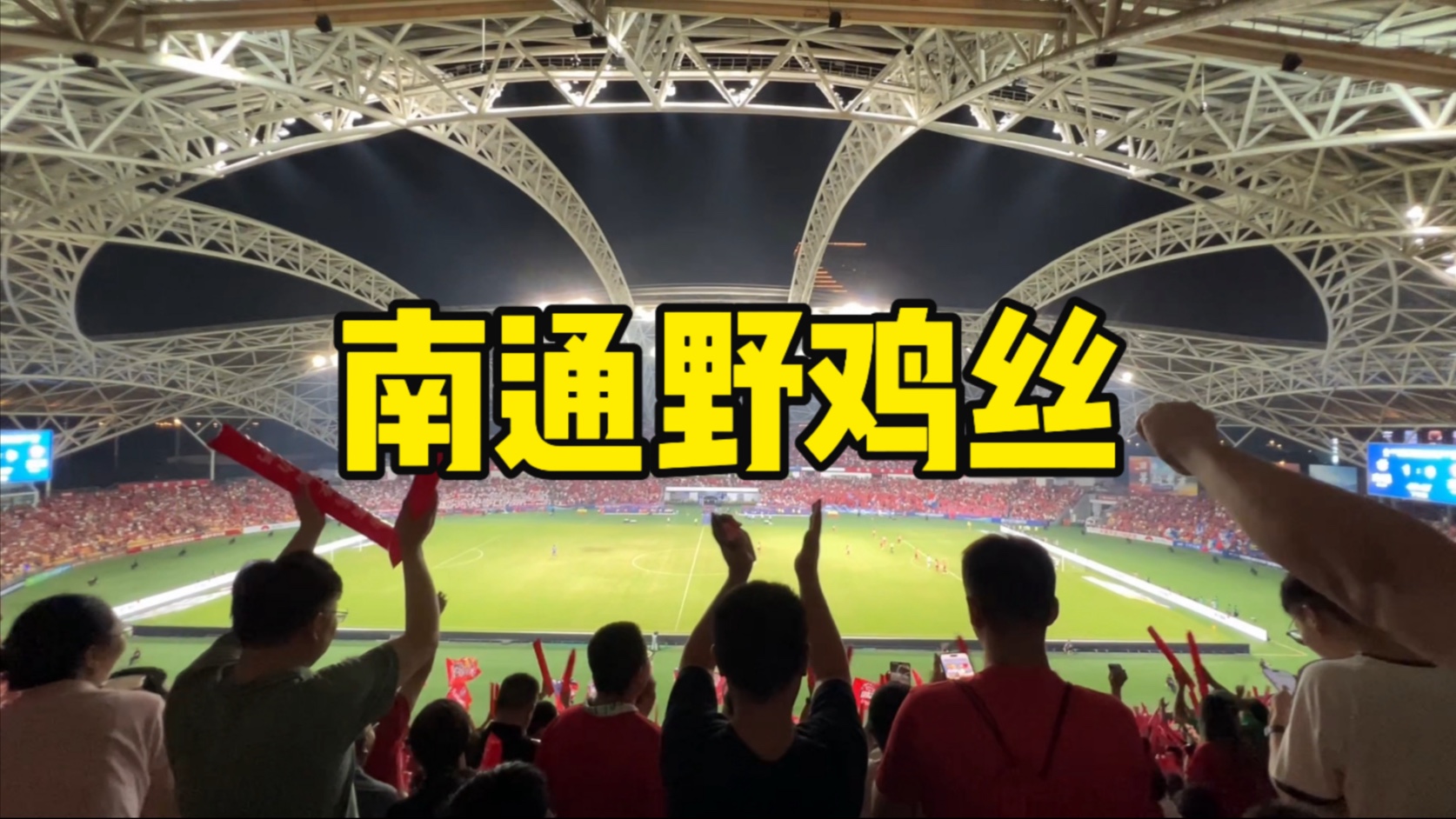 南哥特产：狼山没有狼，野鸡丝没有野鸡