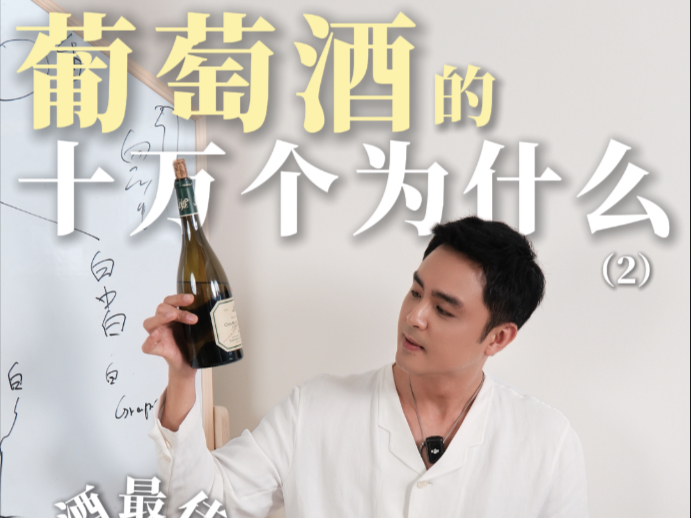 私藏葡萄酒实测，一不小心发现了最佳CP！