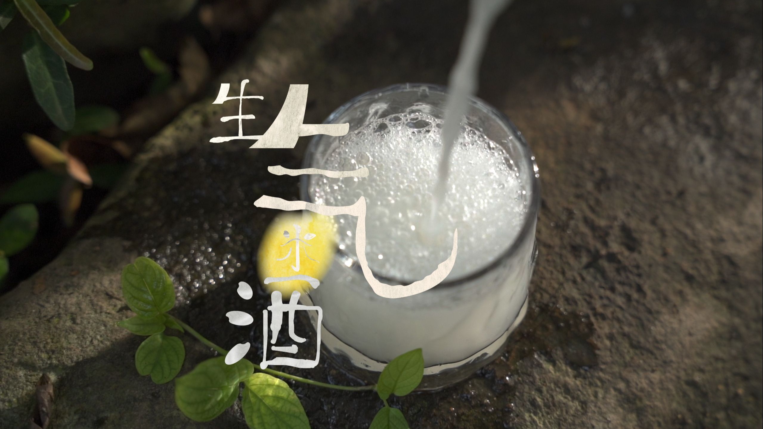 有生气的米酒，是什么样的？