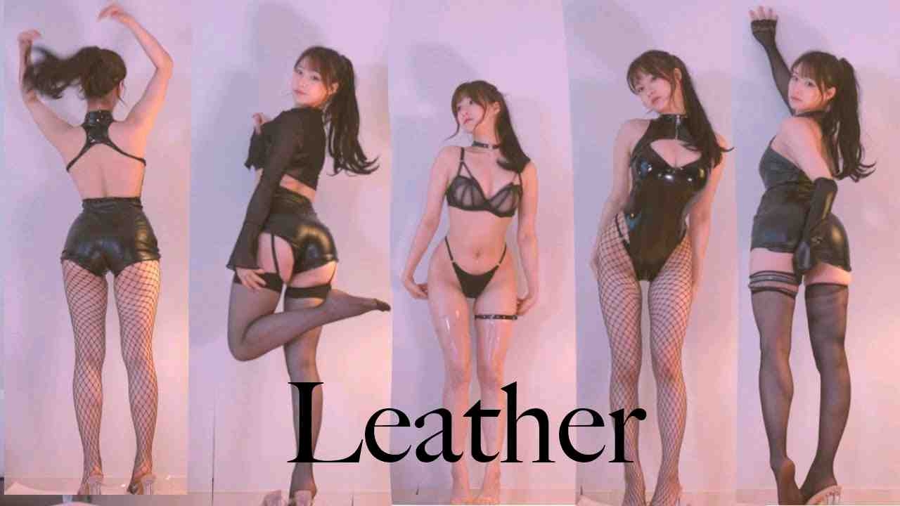 我的皮革外观簿
