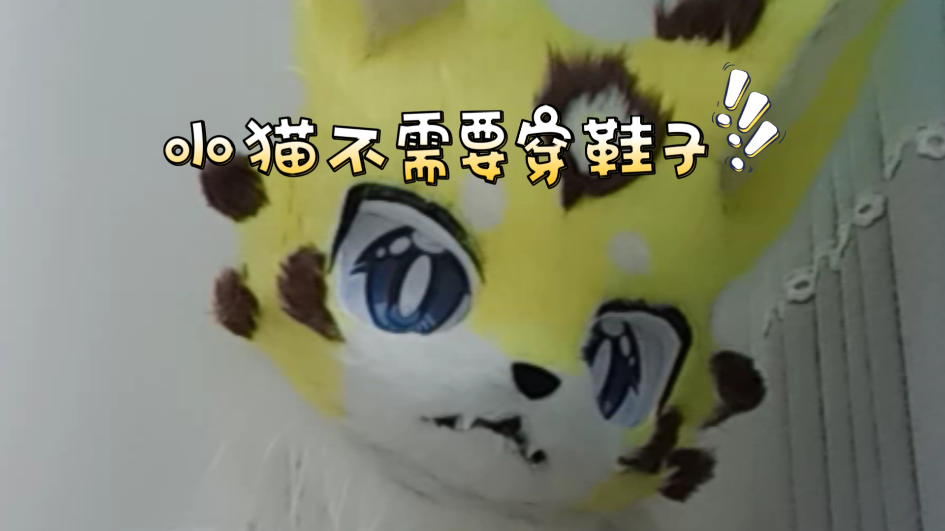 小猫不需要穿鞋子