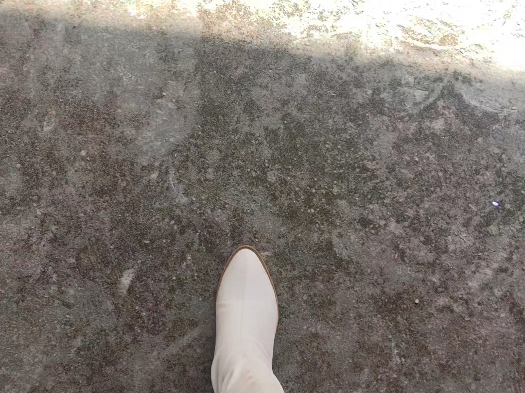 今日的我
