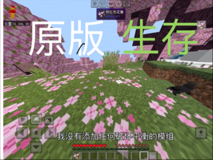 【我的世界】原版生存 第一期