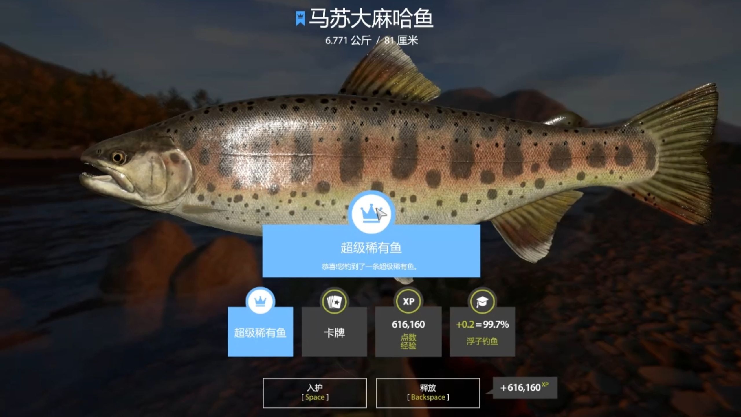蓝冠马苏大