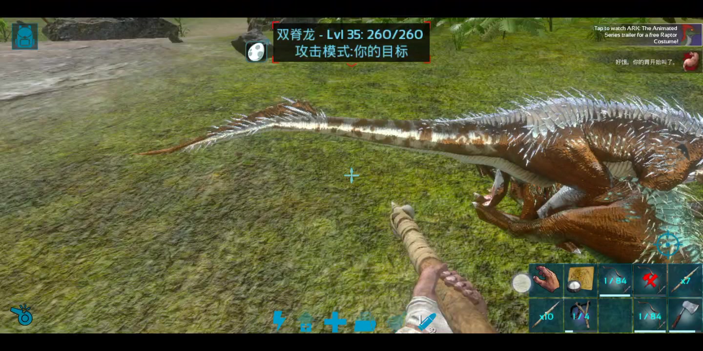 双脊龙的黄金回旋，不要对黄金回旋有什么特殊想法