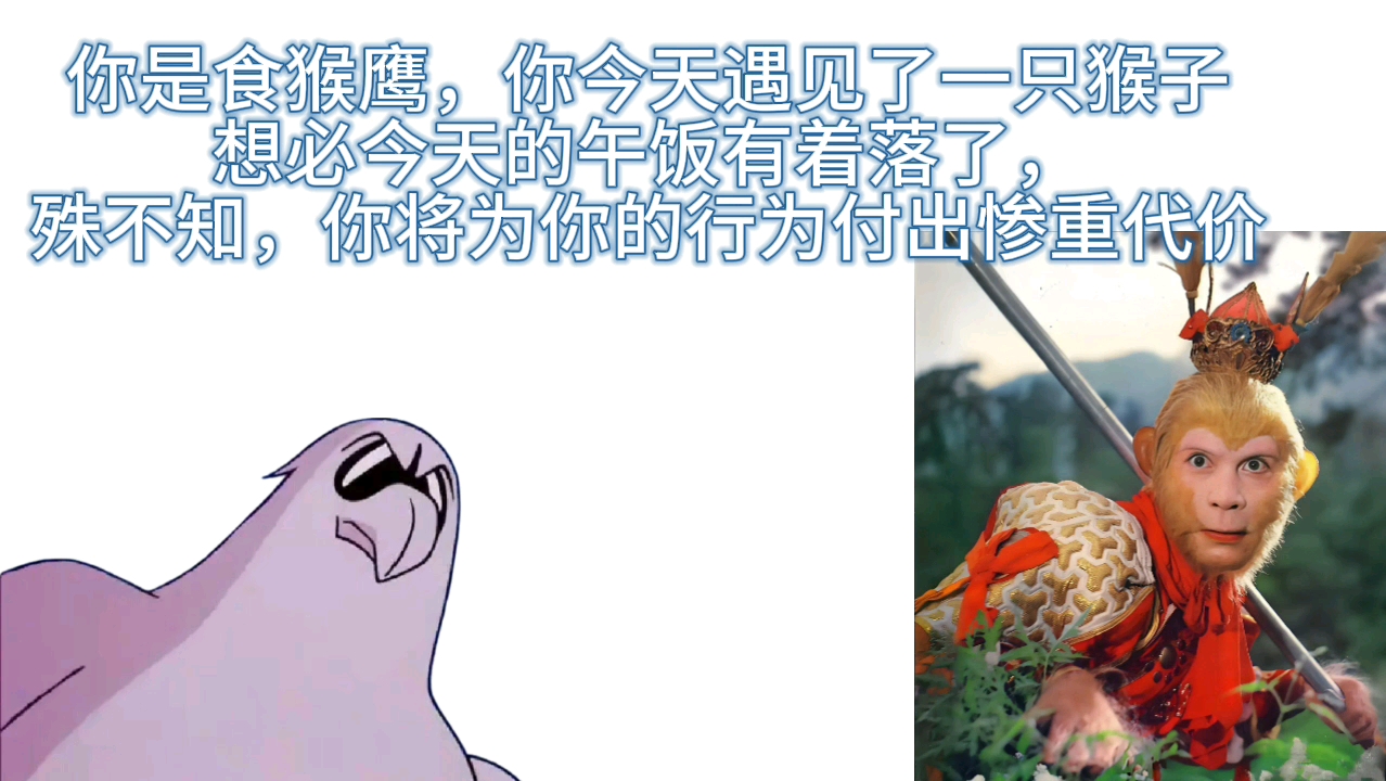 【丸辣】你是食猴鹰，但是你今天遇见了一只奇怪的猴子……