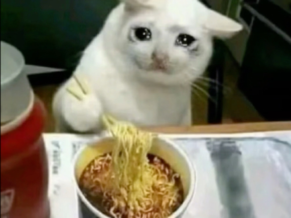 鼠鼠我啊，这一生如履薄冰