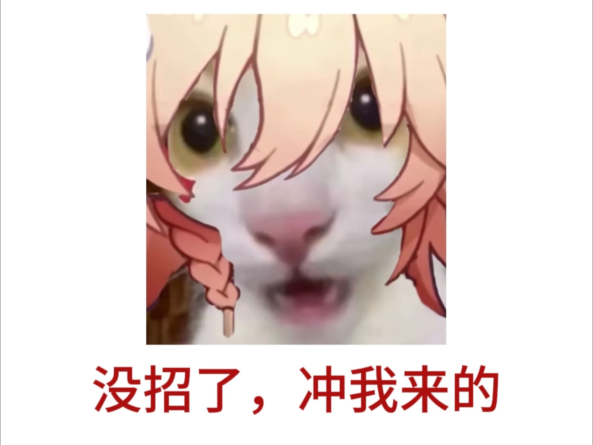 【爱敌TV】幽默银狼试用把万敌坑完了