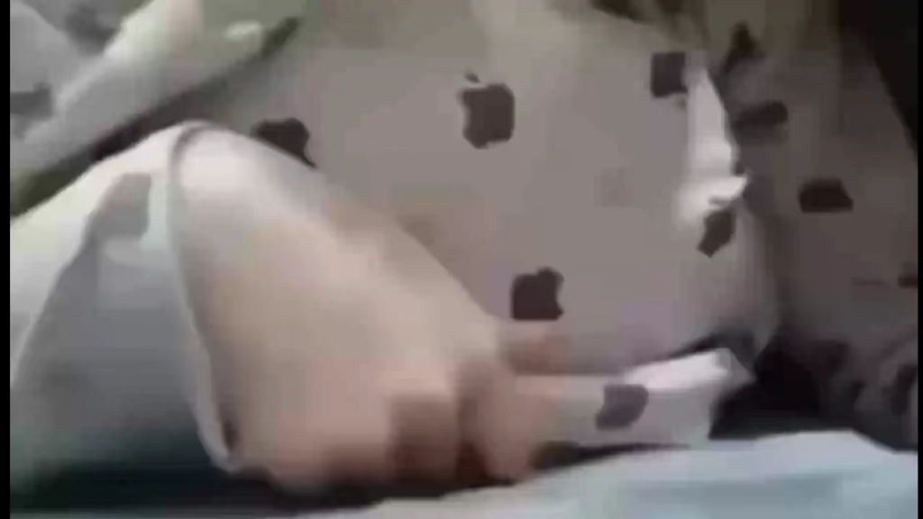 我们需要更多Doro