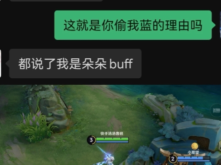 为什么要偷我的蓝buff