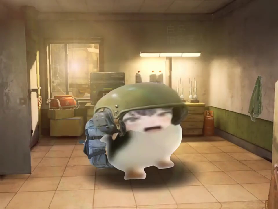 我从暗区来