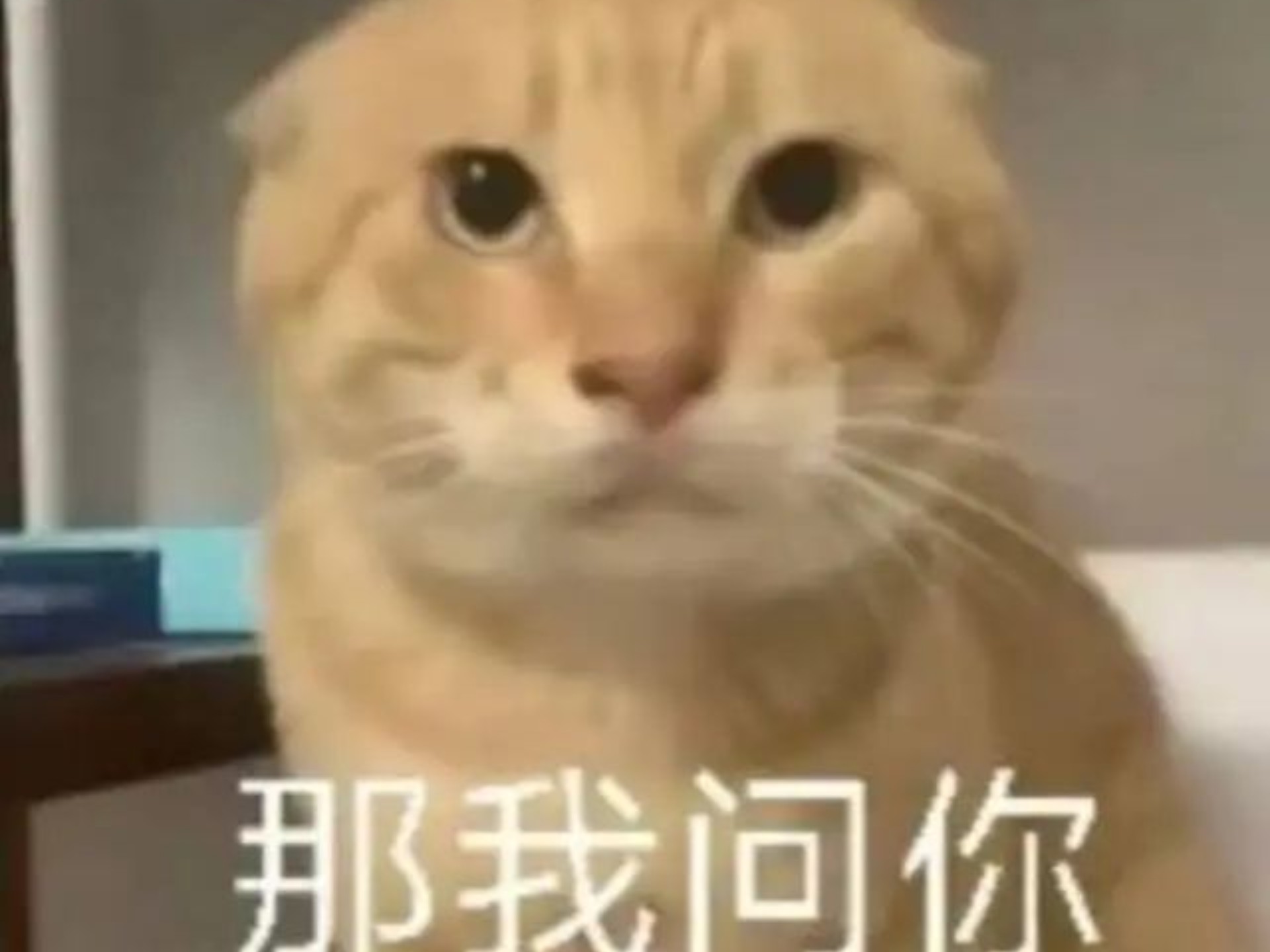 【某米真的太好用了】2024年的产品竟出现恶性bug