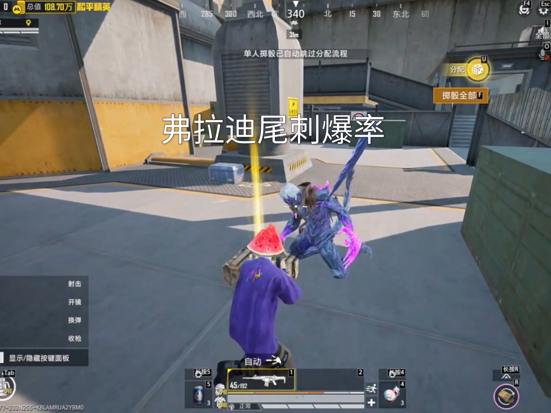 这就是弗拉迪尾刺吗