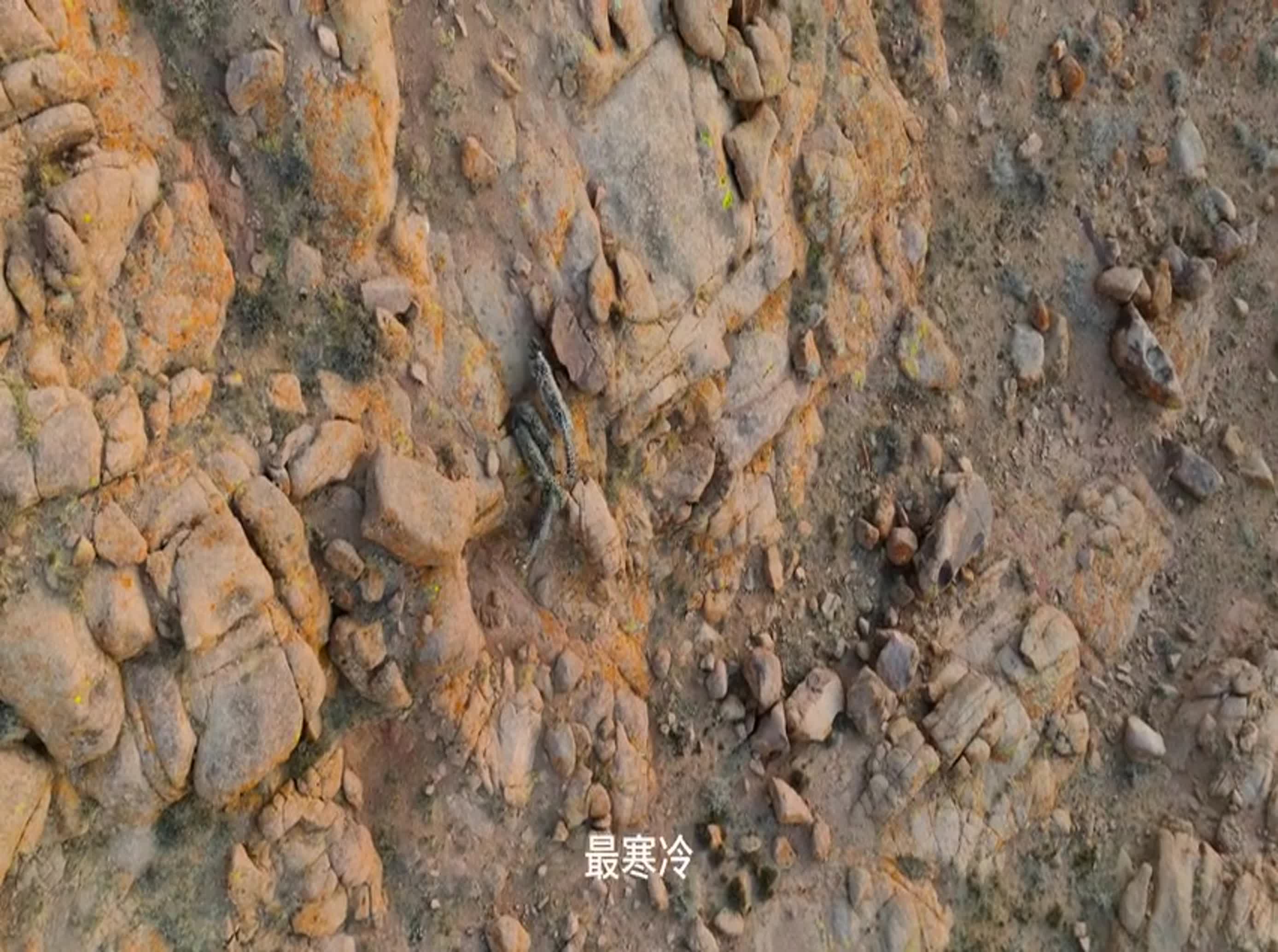 一直未有告诉公仪歇
