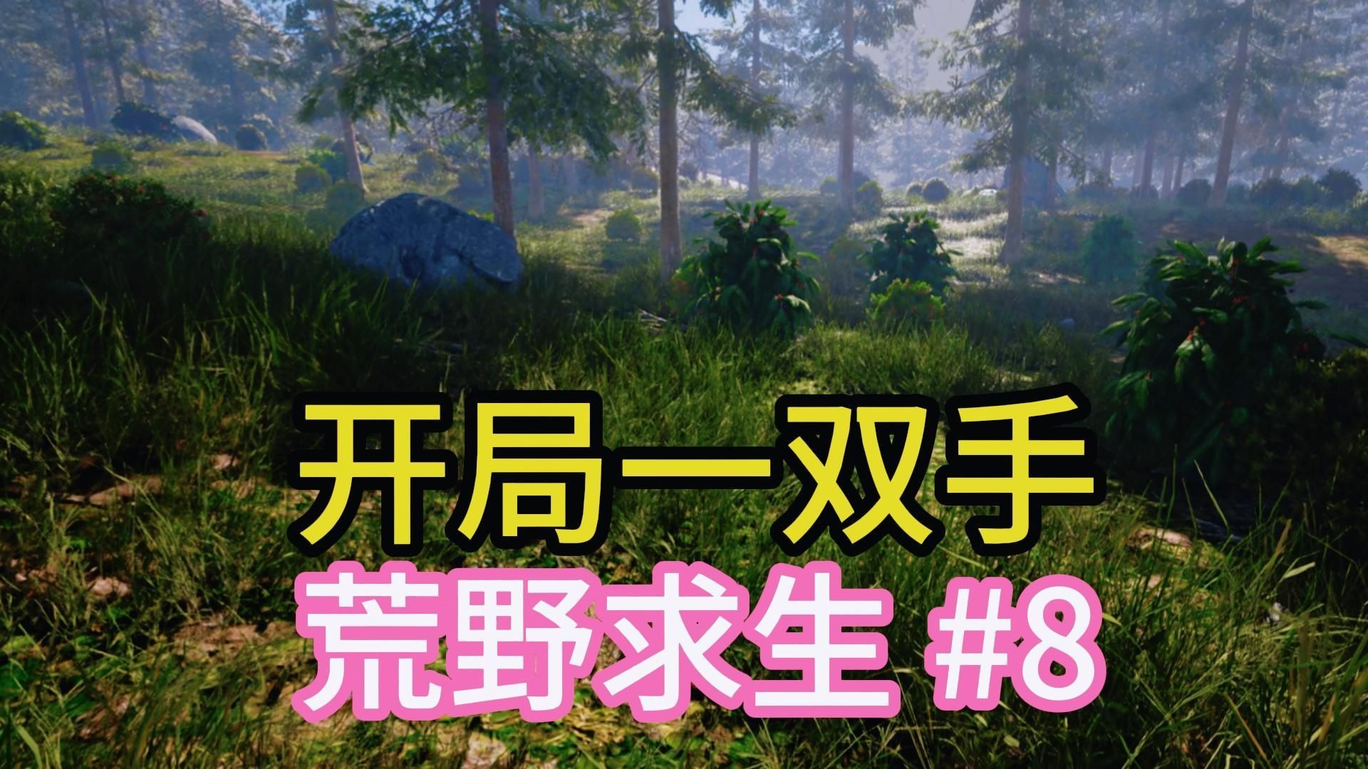 满配复合甲套装【翼星求生】08