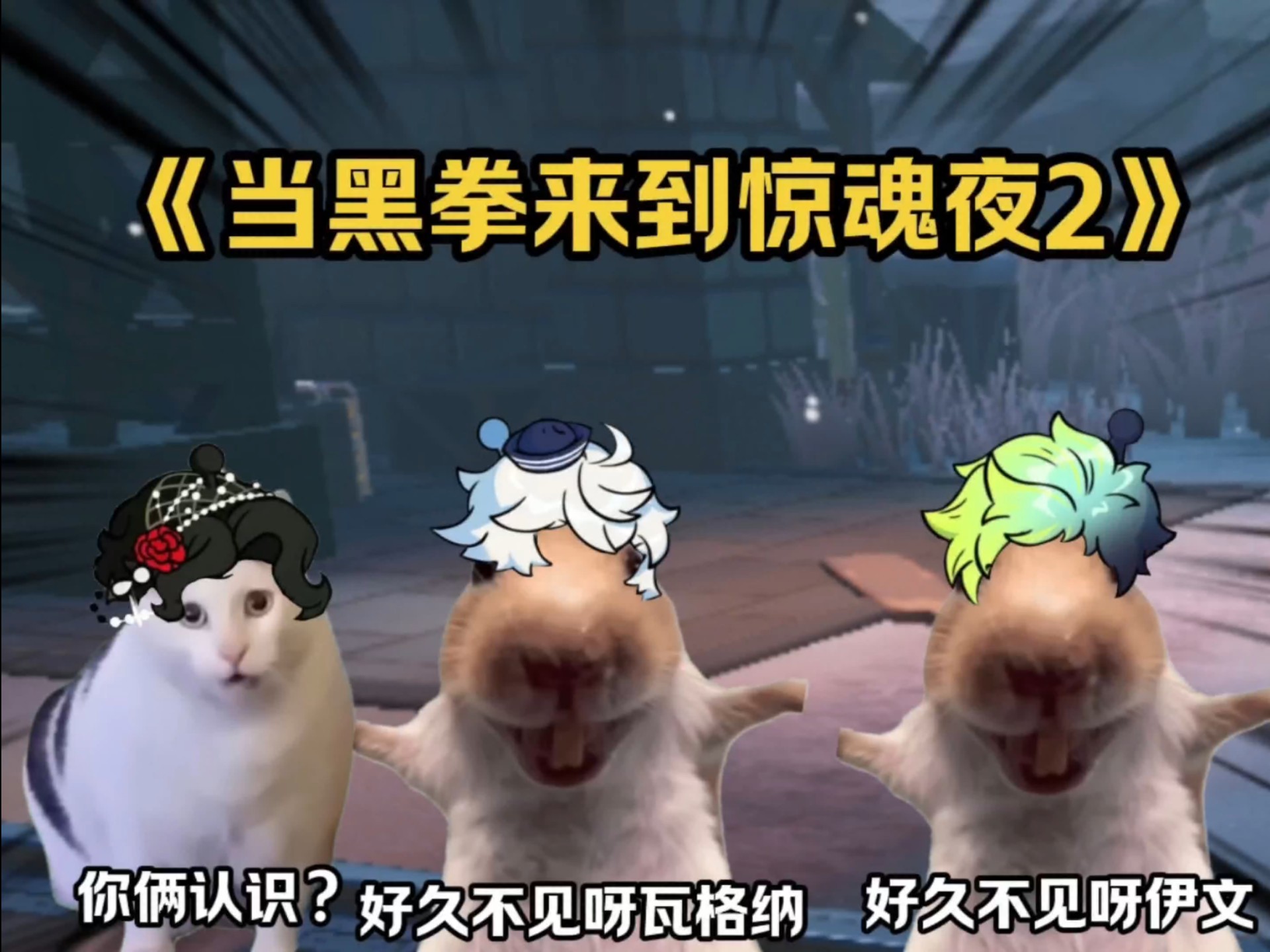 当黑拳来到惊魂夜，哈基拳你这家伙……