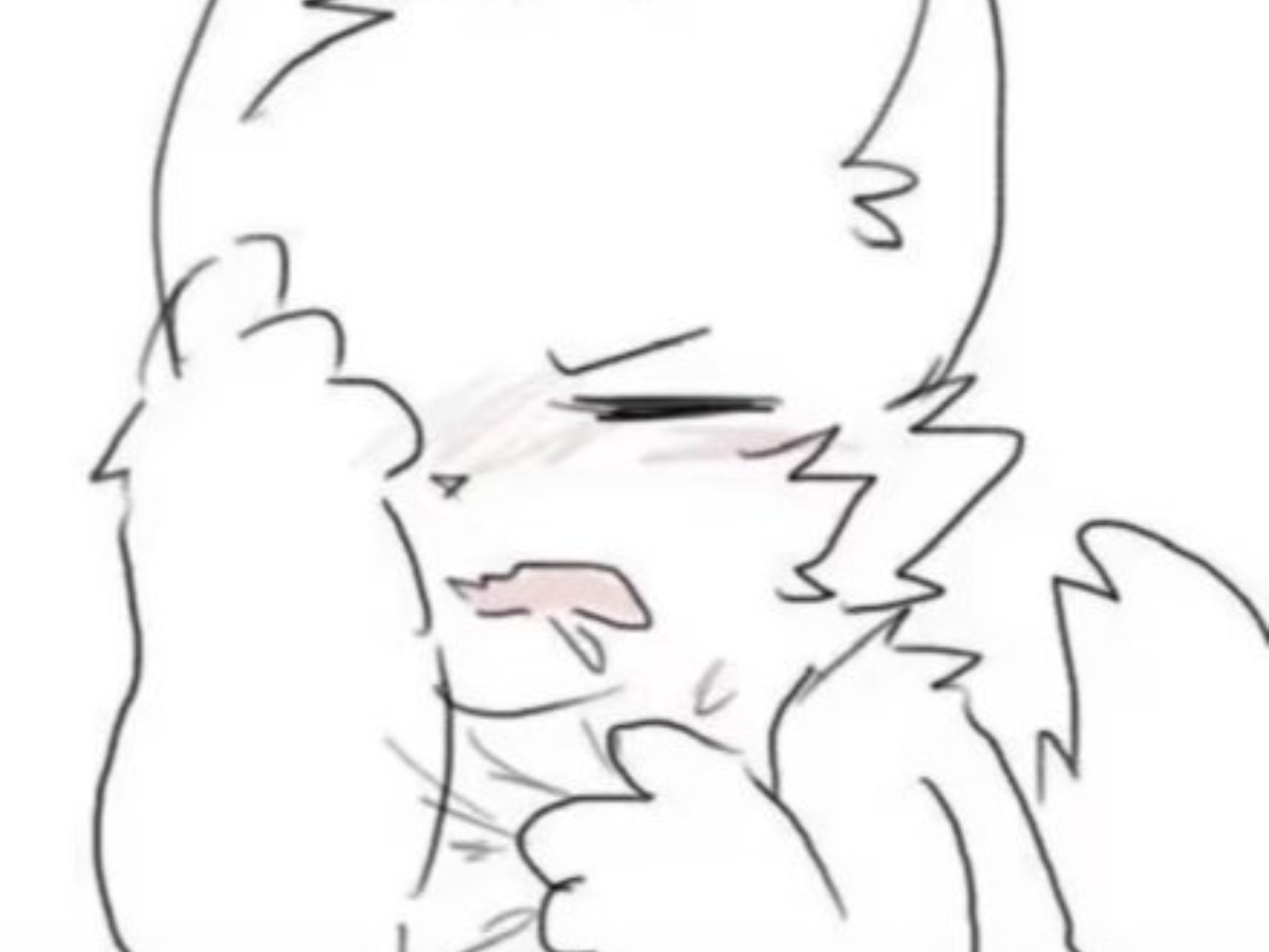 兽兽玩八宝粥行动