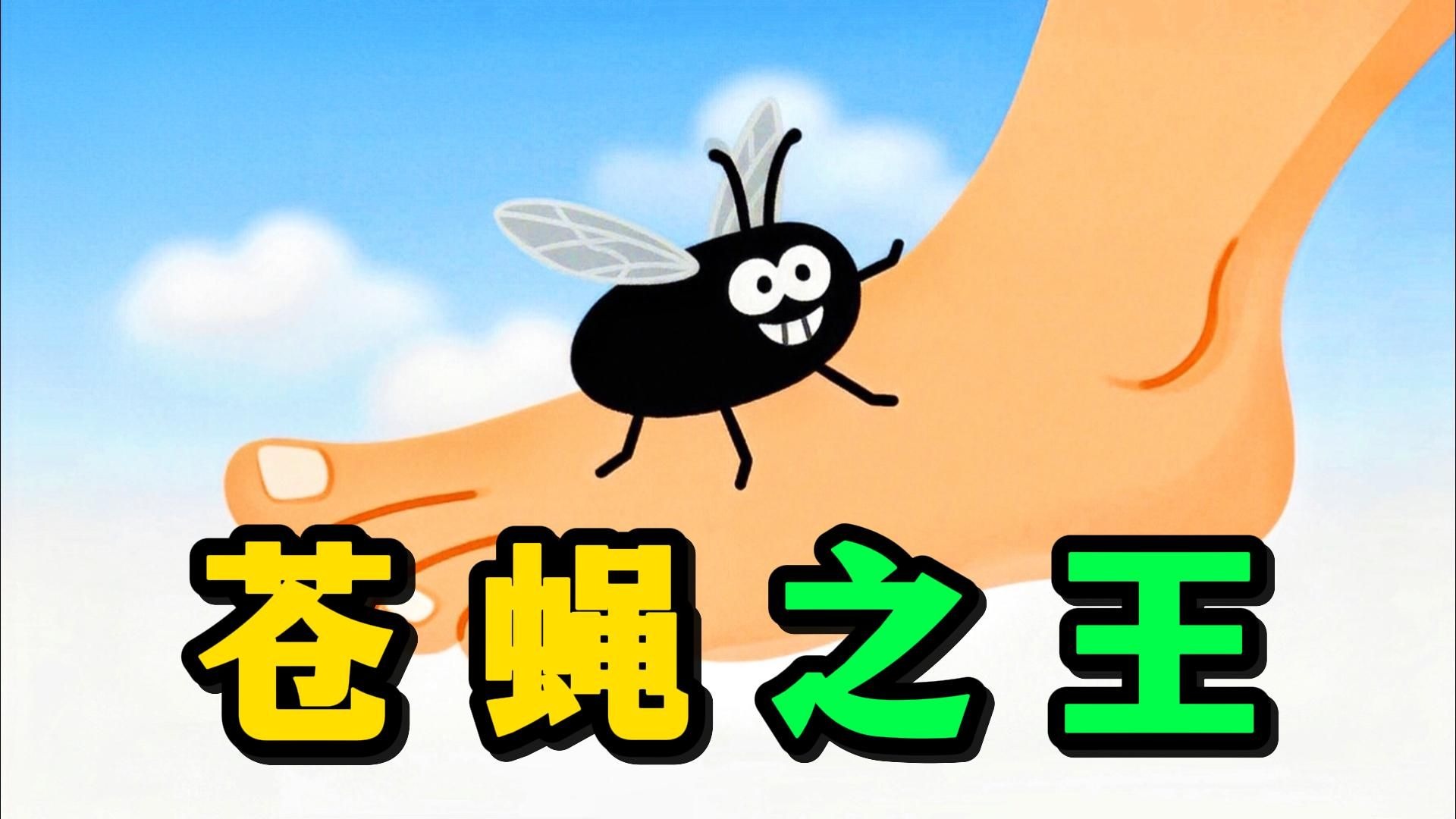 苍 蝇 模 拟 器