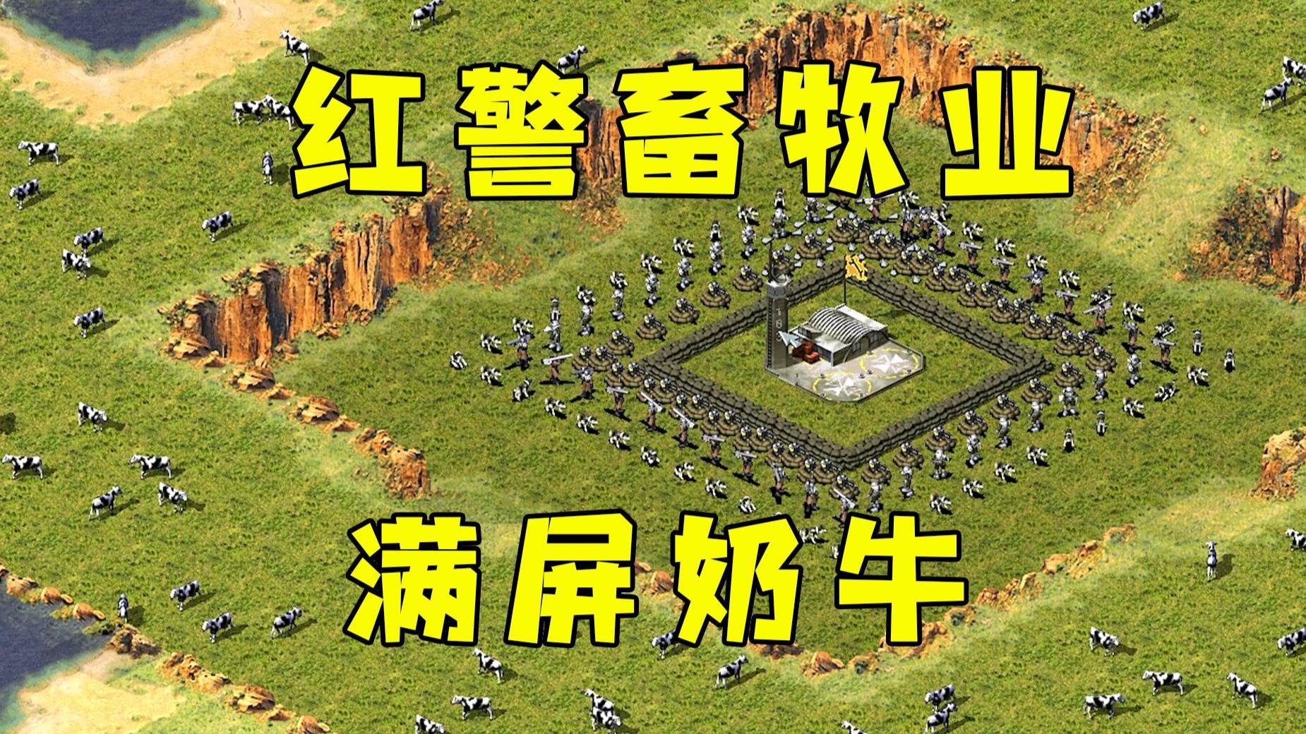 红警畜牧业！满屏奶牛任你控，看谁抓的多！