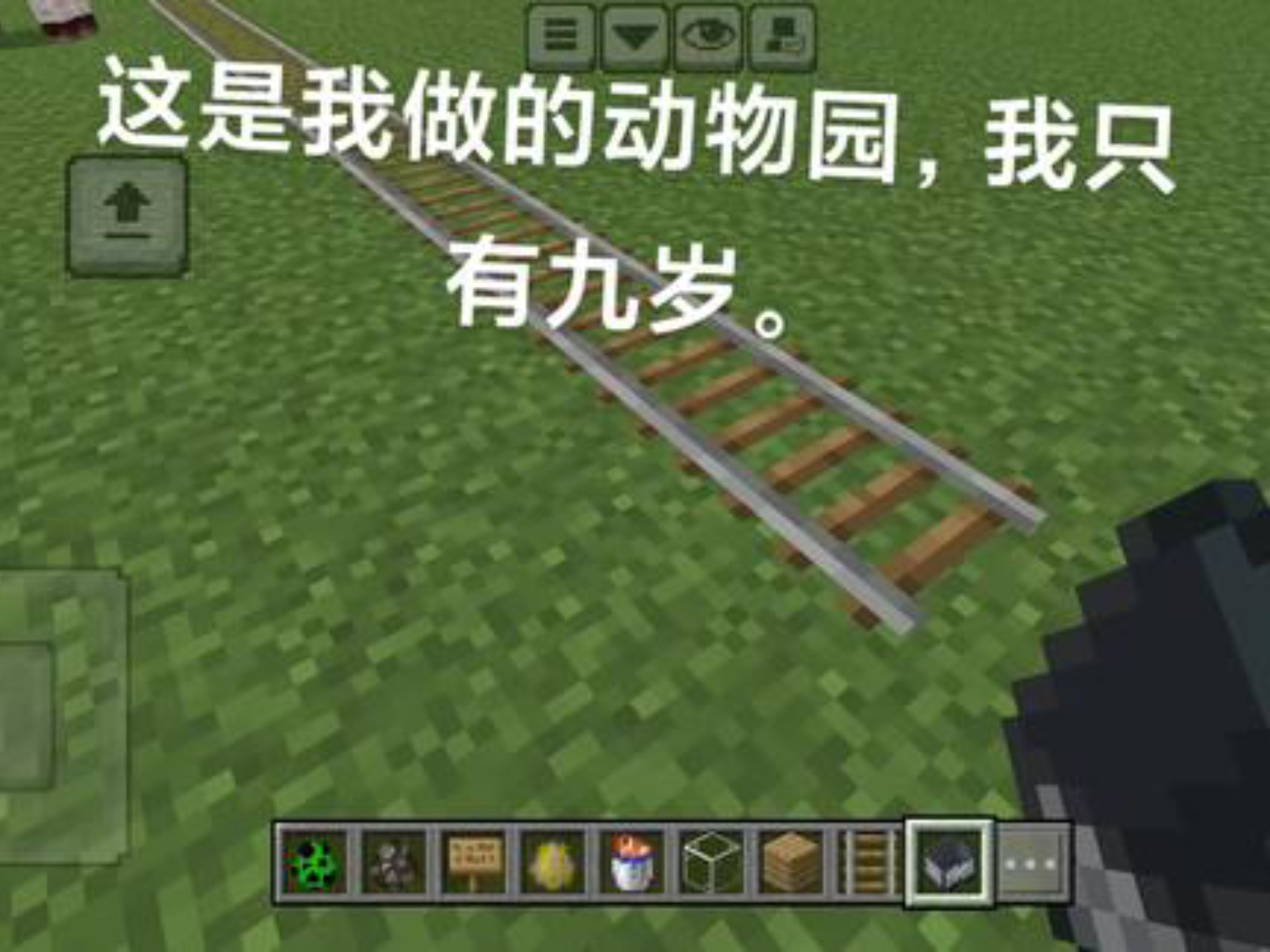 这是我做的动物园，我只有九岁。