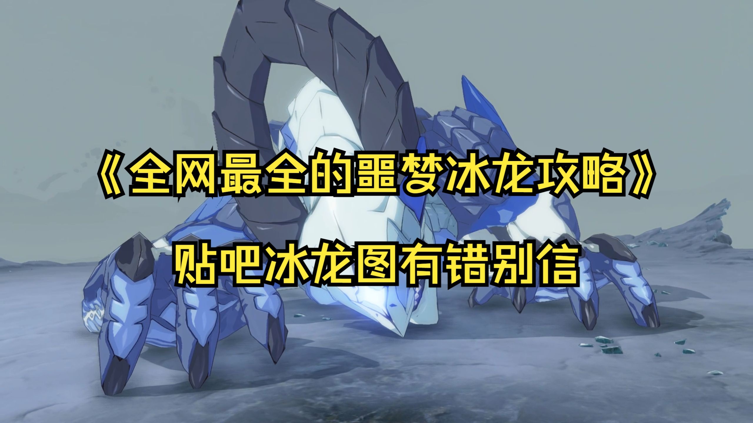 《全网最全的噩梦冰龙攻略》