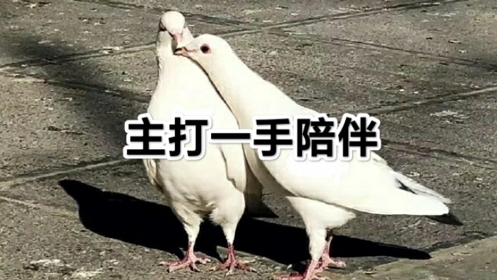 将错就错