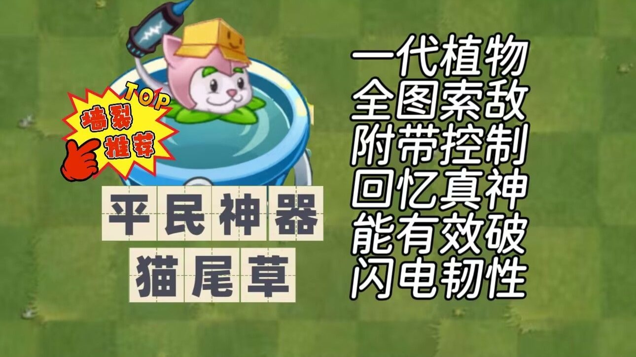 游戏杂谈，猫尾草，一代元老植物，你了解多少？