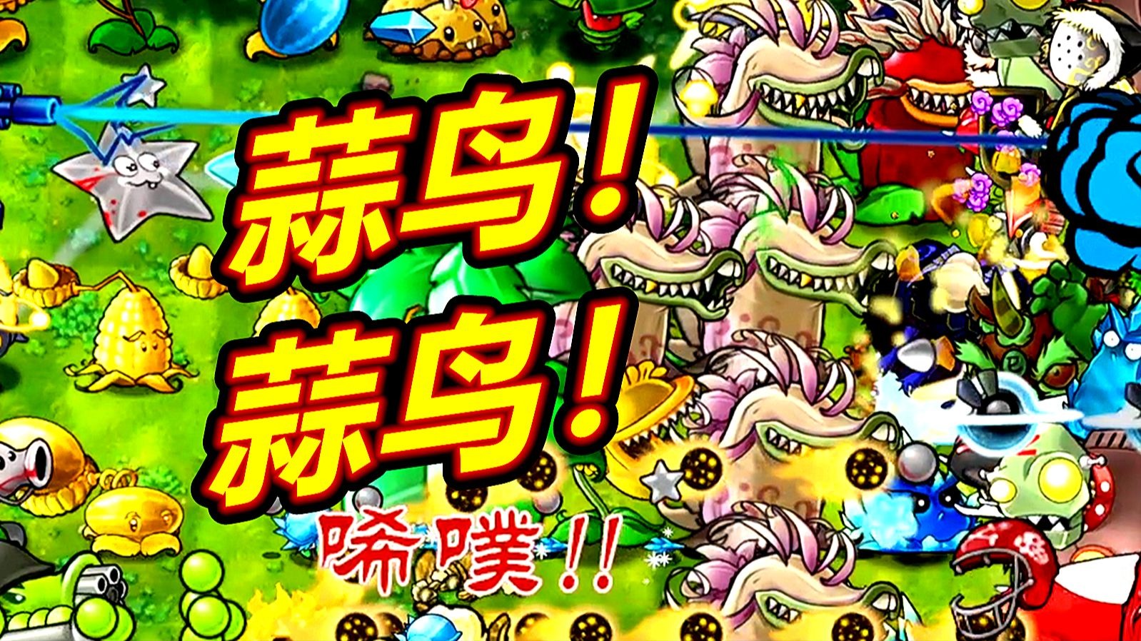 大蒜战神最多的一局！植物大战僵尸融合版呱呱菌