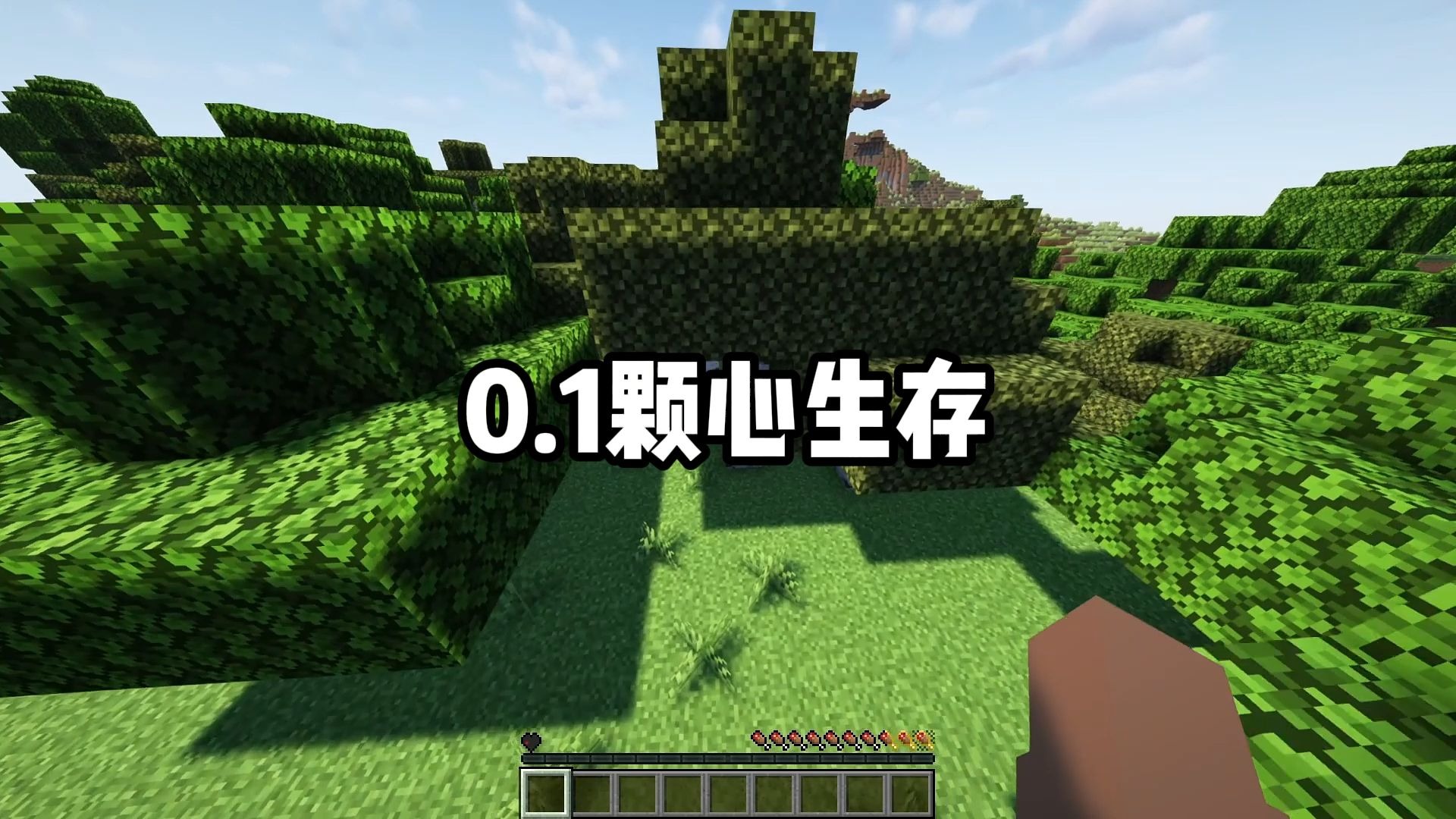 0.1颗心生存：当我们只有0.1颗心