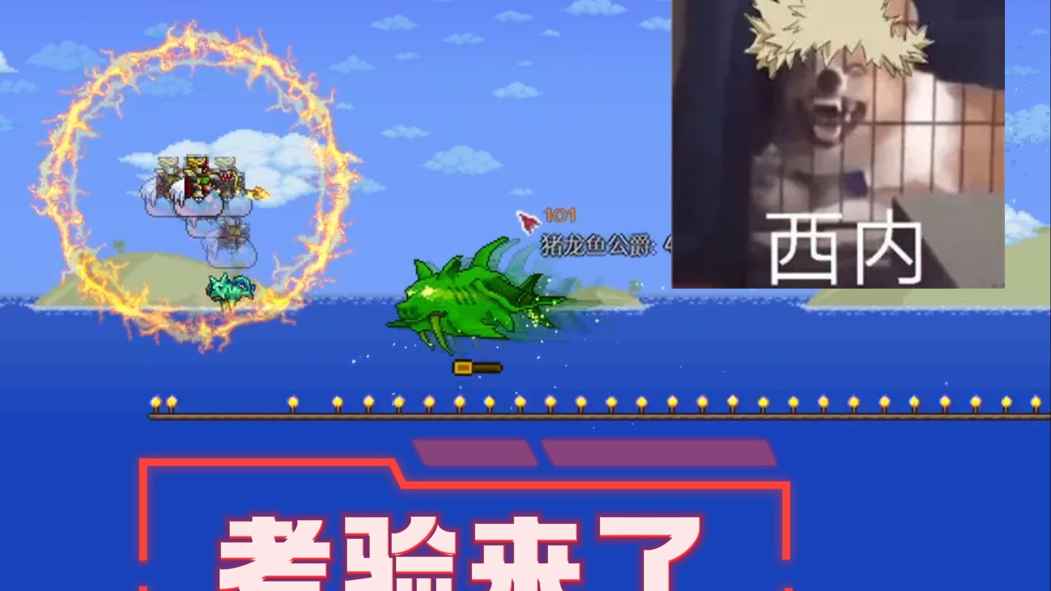 【云起】【泰拉瑞亚大师难度教程No.14】萌新杀手猪鲨公爵来