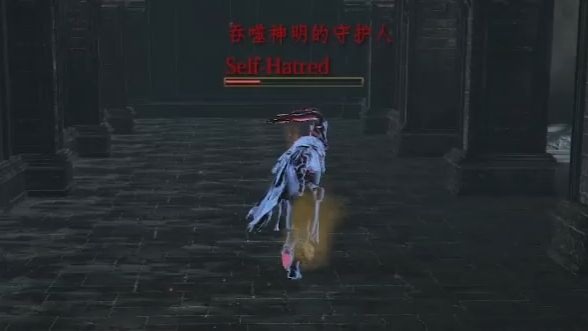 一局院神爽砍半小时 全魂3最高爆发 60信仰暗月光剑对刀