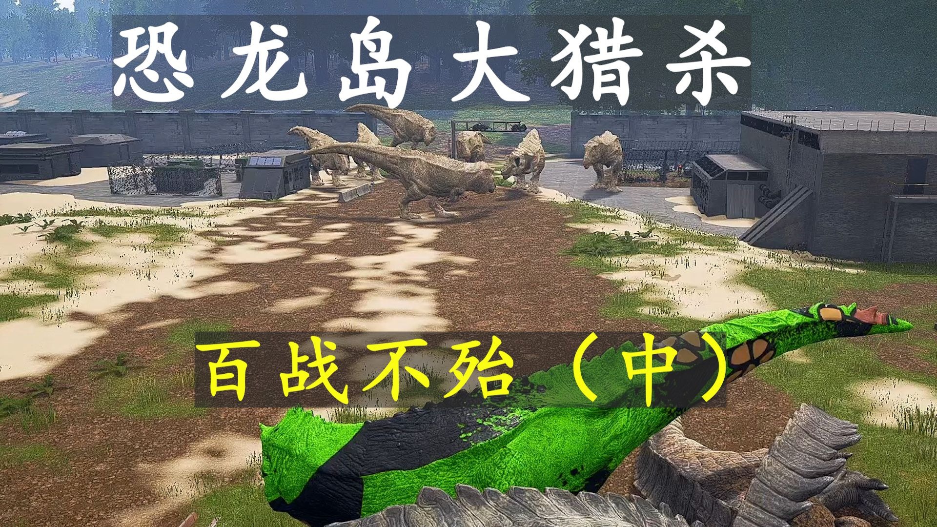 恐龙岛大猎杀6.24（中）：历经千辛万苦进化的远古，又岂会被车轮战耗