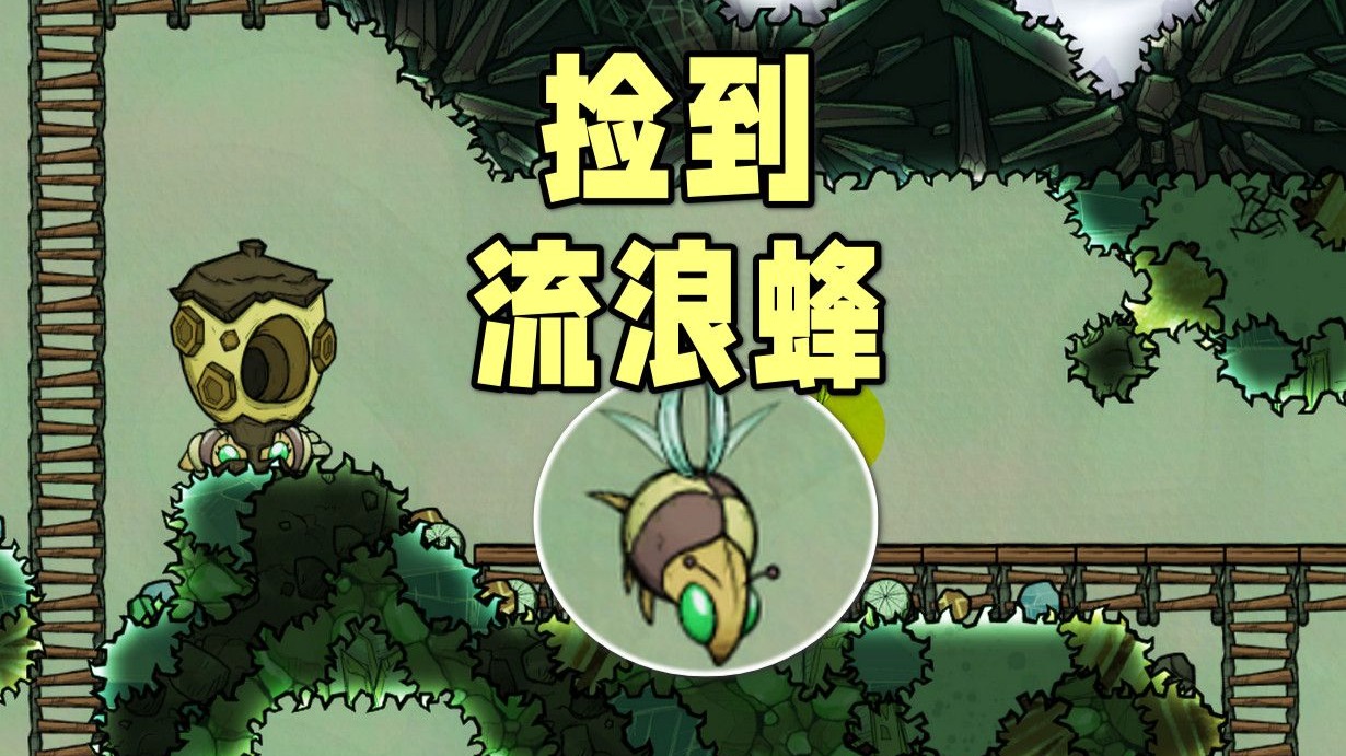 缺氧长期档#31，擒辐射蜂，挖铀矿
