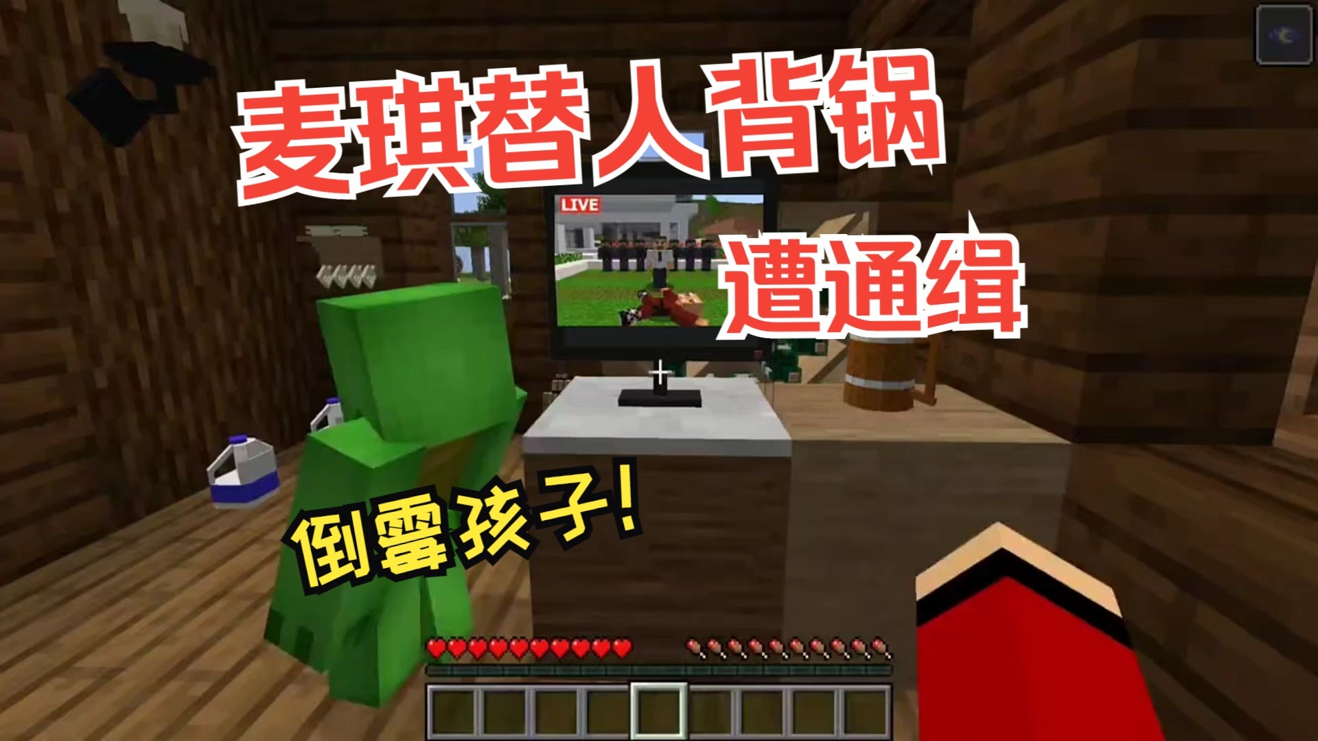 我的世界：倒霉麦琪替人背锅，被全城通缉！