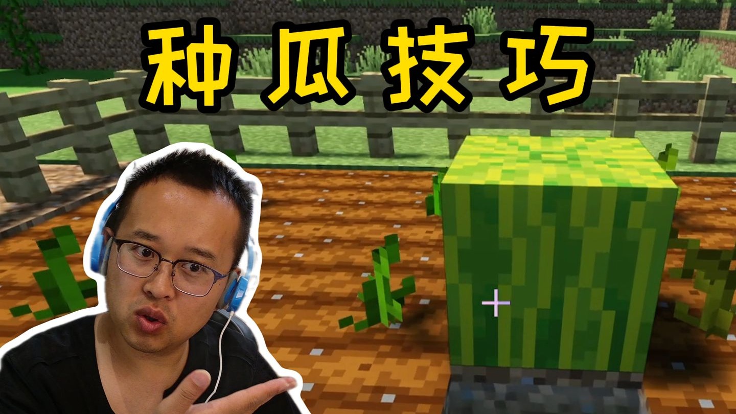我的世界萌新生存22：种瓜小技巧，以后吃喝不愁