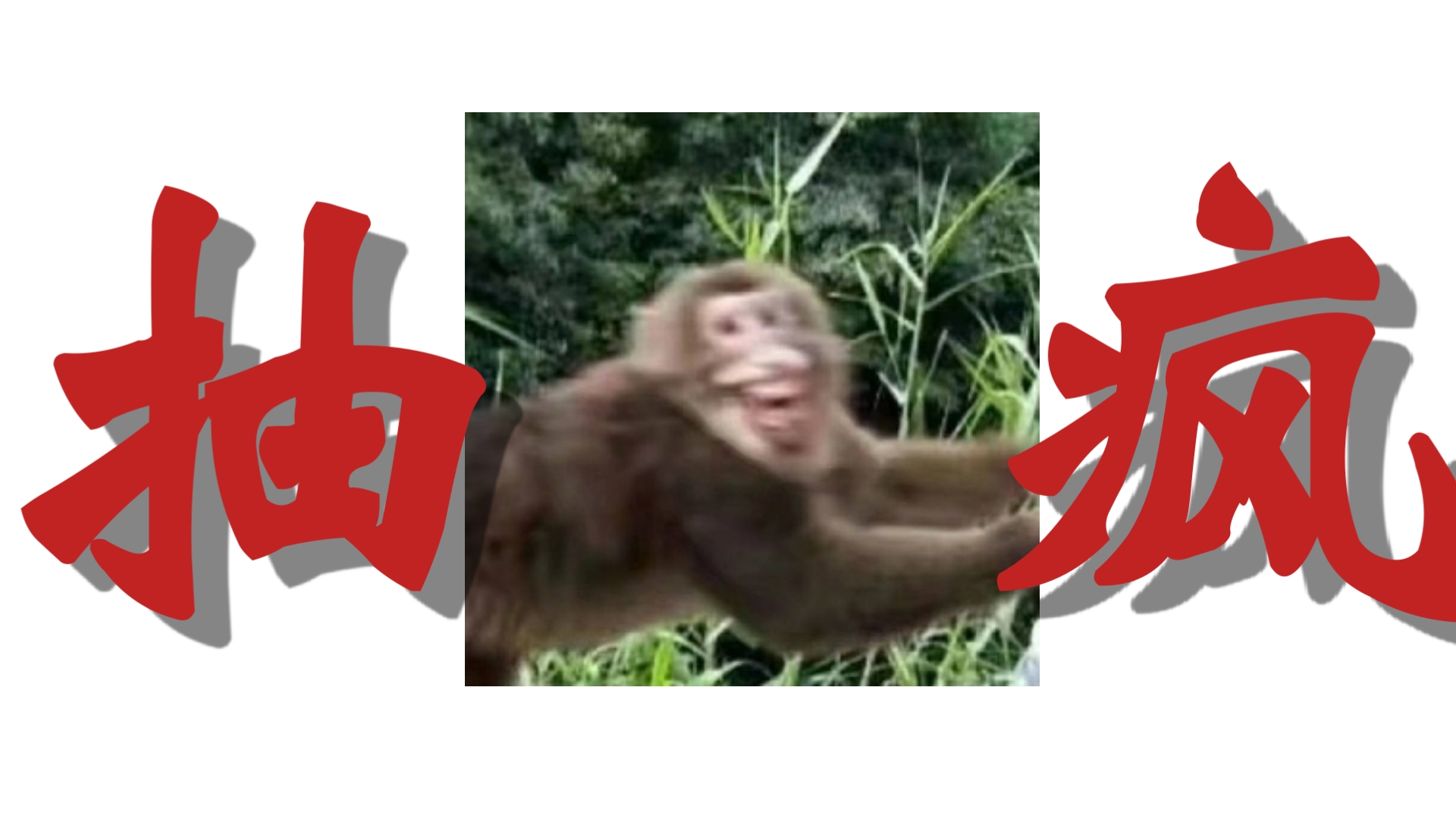 休假马上结束了，也是时候抽疯了
