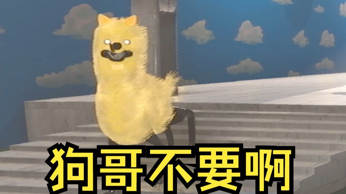 狗哥还是太带派了