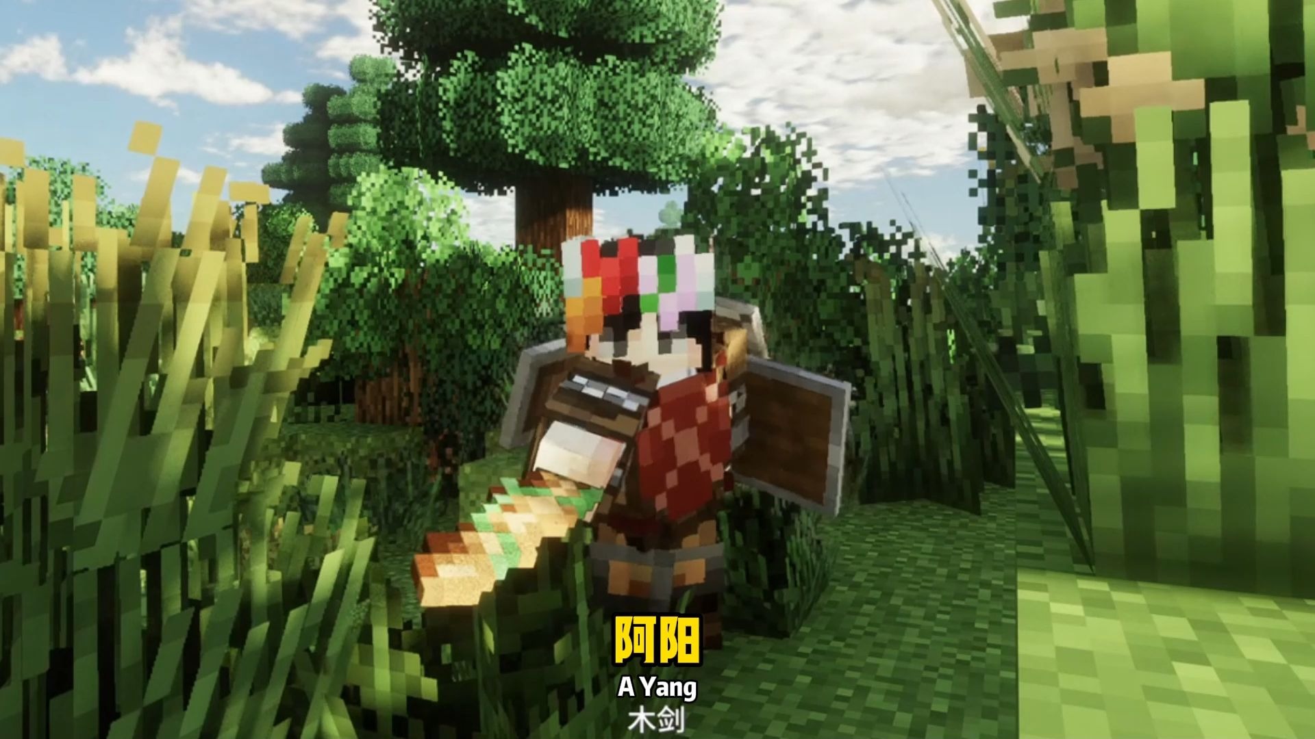 我的世界之阿阳诗意生活预告