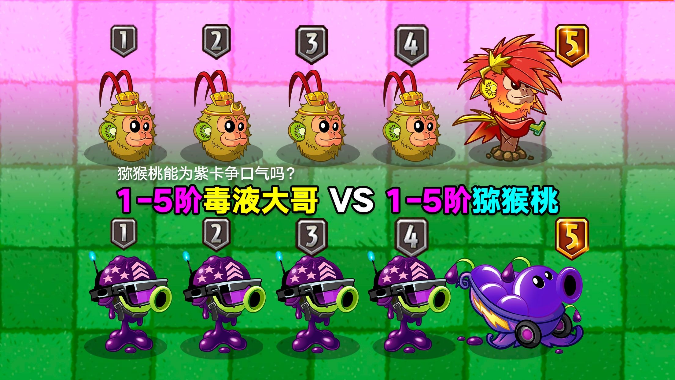1-5阶毒液大哥 VS 1-5阶猕猴桃！10个打45个？结局会如何？
