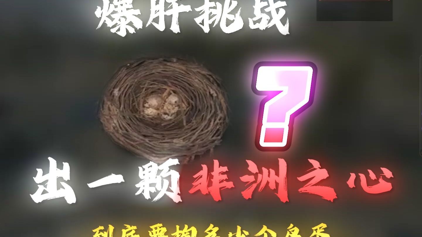 爆肝挑战摸？？鸟蛋出一颗非洲之星（第一天）
