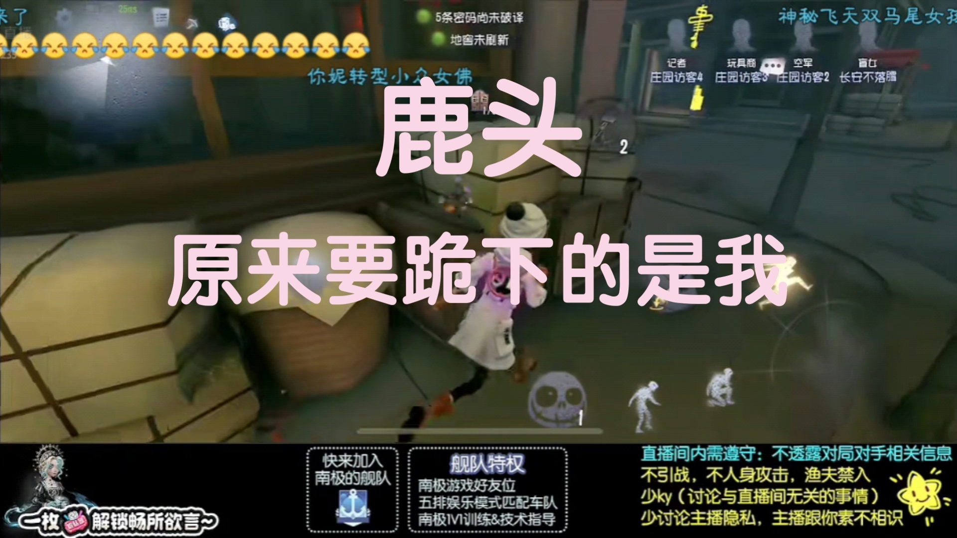 「南极」南极的搞怪妞合集！随缘更如新