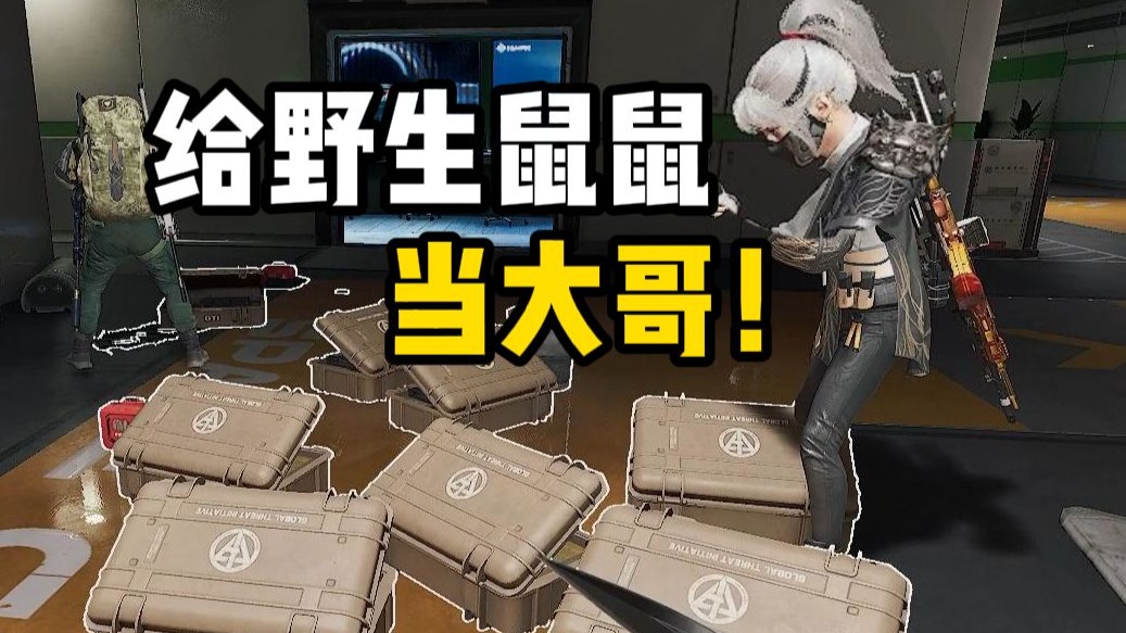 《给野生鼠鼠当大哥》