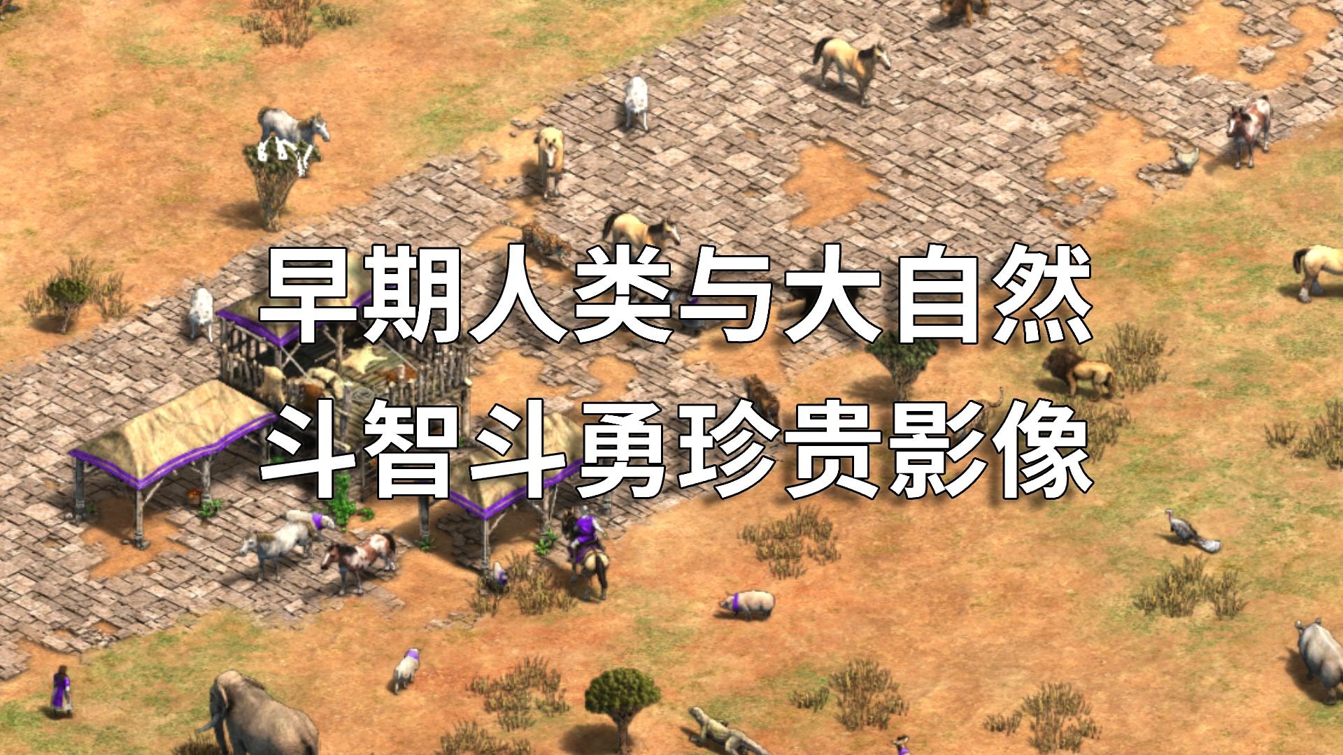 【帝国时代2】早期人类与大自然斗智斗勇珍贵影像