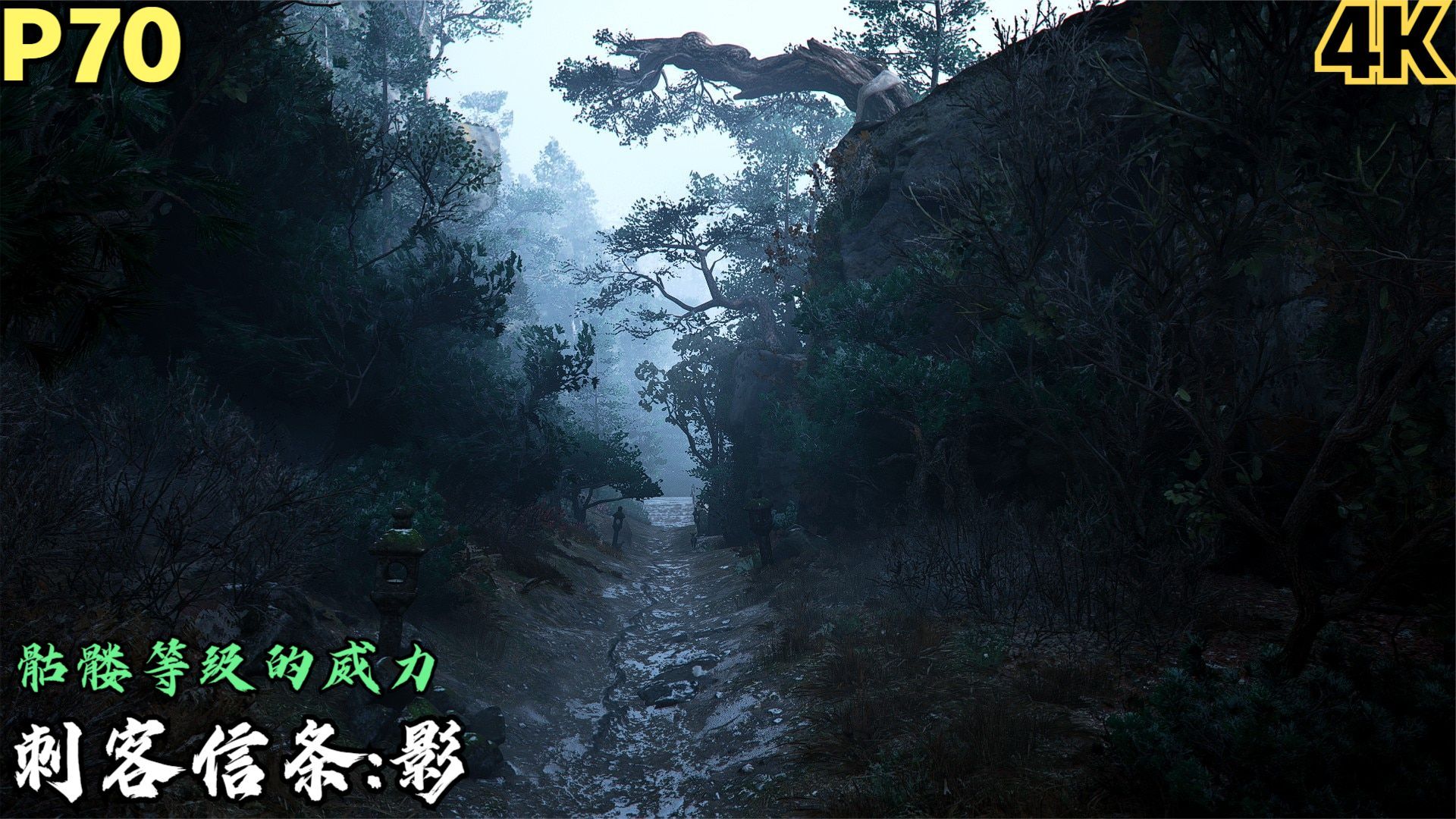 【Zarz蛋蛋】4K60刺客信条影剧情实况P70:骷髅等级的杀伤力