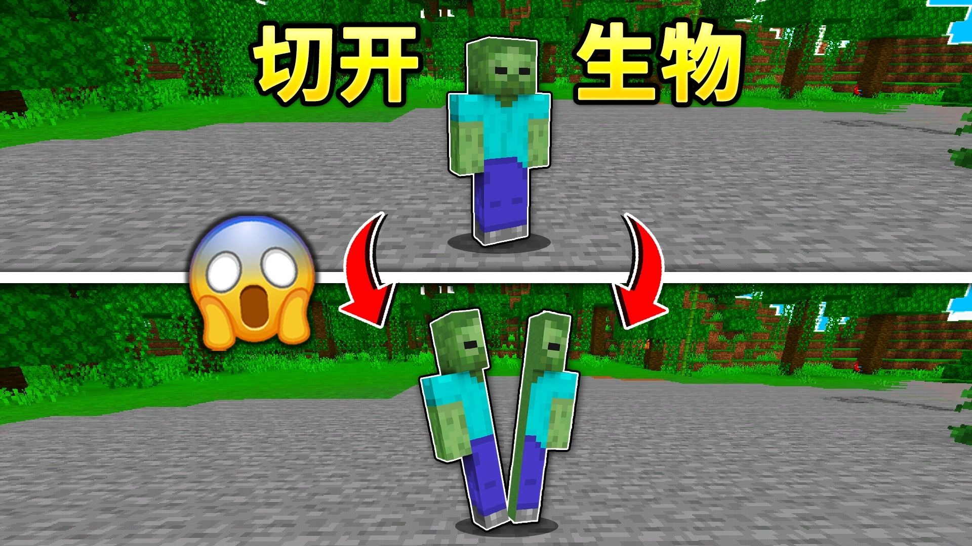 MC当我们可以切开各种生物？！