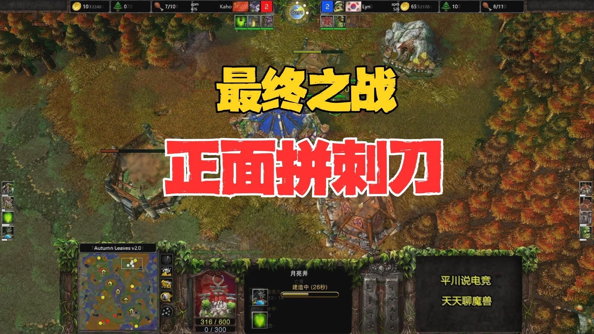 最终之战，正面拼刺刀了，Lyn vs Kaho！魔兽争霸3