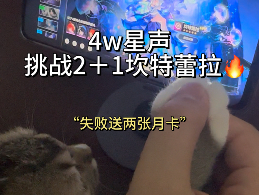 可爱猫咪挑战4w星声，抽2＋1坎特蕾拉！