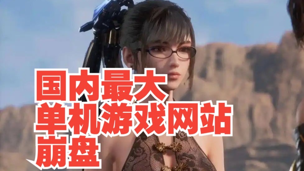 花2695买的服务器半年没到就废了！国内最大单机游戏网站崩盘，惨
