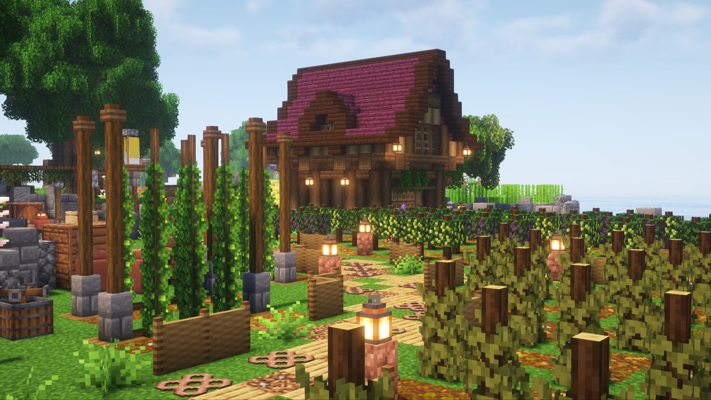 葡萄时节，是时候酿造啦~